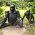 De heilge familie Gorilla s